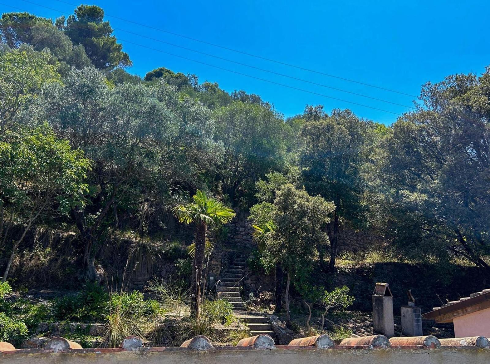 Villa Velta Sea Sunset Porto Santo Stefano  Exterior photo